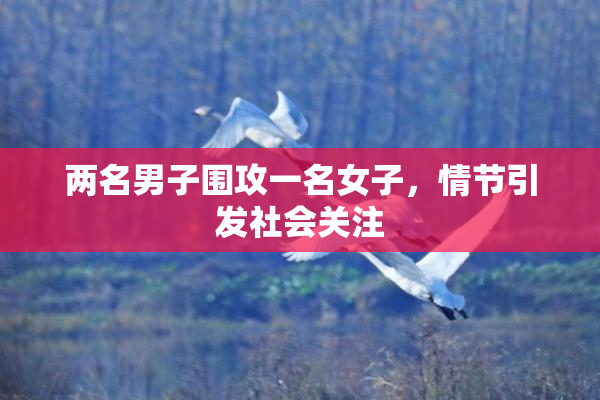 两名男子围攻一名女子，情节引发社会关注