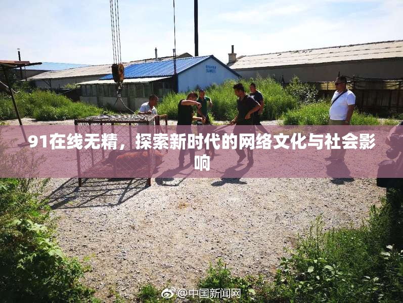 91在线无精，探索新时代的网络文化与社会影响