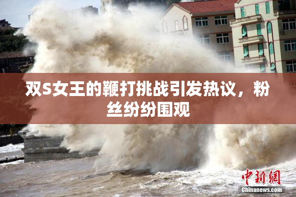 双S女王的鞭打挑战引发热议，粉丝纷纷围观