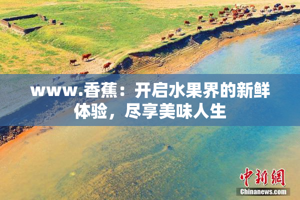 www.香蕉：开启水果界的新鲜体验，尽享美味人生