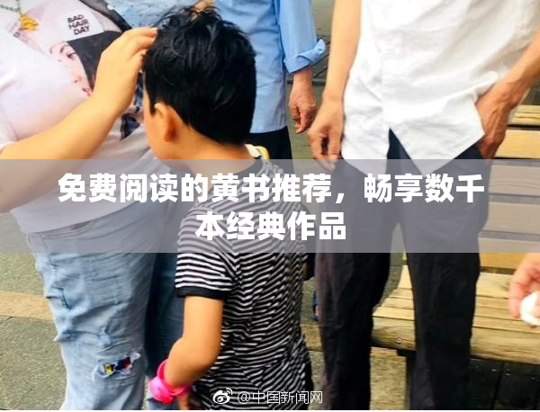 免费阅读的黄书推荐，畅享数千本经典作品