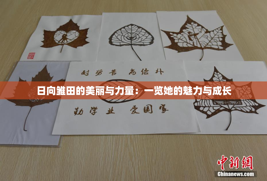 日向雏田的美丽与力量：一览她的魅力与成长