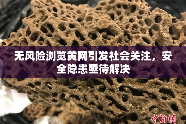 无风险浏览黄网引发社会关注，安全隐患亟待解决
