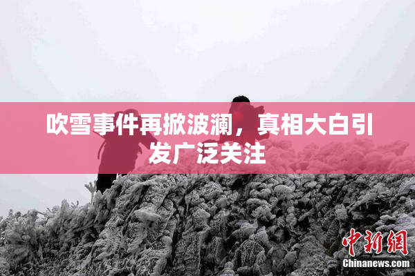 吹雪事件再掀波澜，真相大白引发广泛关注