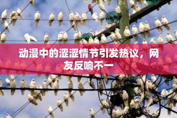 动漫中的涩涩情节引发热议，网友反响不一