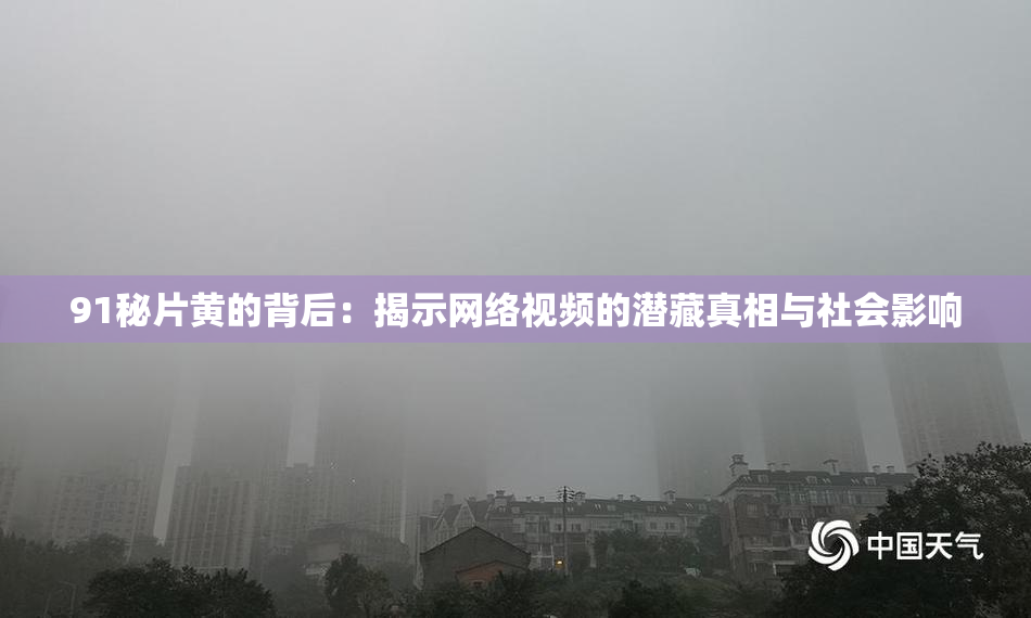 91秘片黄的背后：揭示网络视频的潜藏真相与社会影响