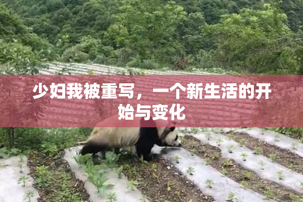 少妇我被重写，一个新生活的开始与变化