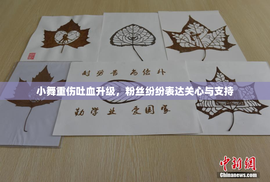 小舞重伤吐血升级，粉丝纷纷表达关心与支持