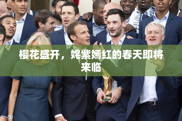 樱花盛开，姹紫嫣红的春天即将来临