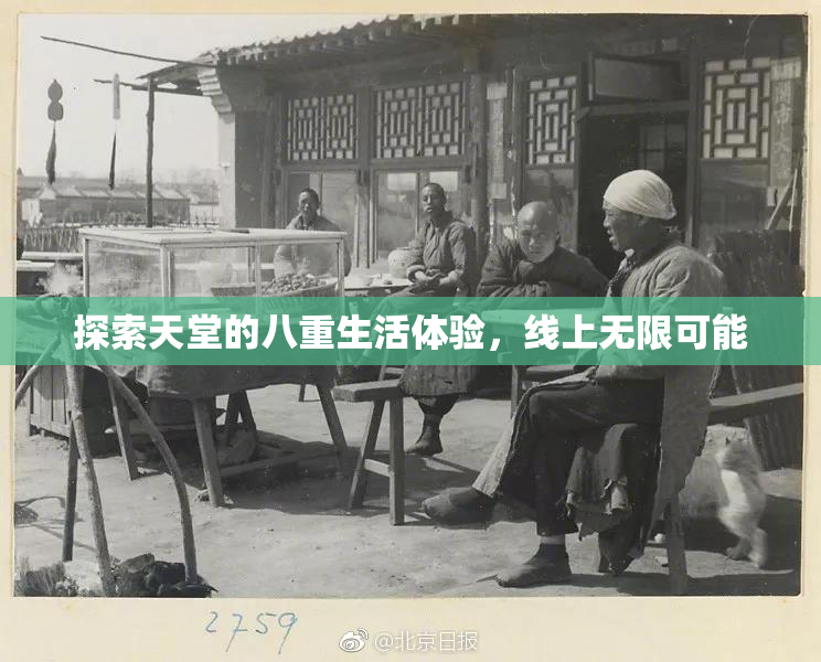 探索天堂的八重生活体验，线上无限可能