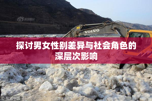 探讨男女性别差异与社会角色的深层次影响