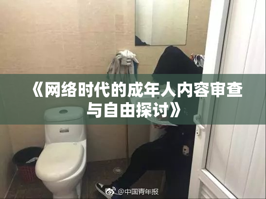 《网络时代的成年人内容审查与自由探讨》