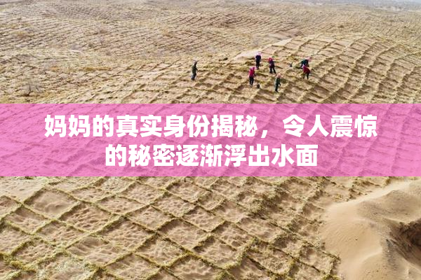 妈妈的真实身份揭秘，令人震惊的秘密逐渐浮出水面
