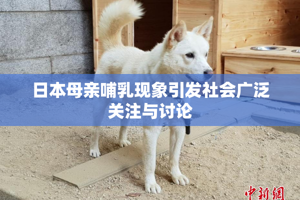 日本母亲哺乳现象引发社会广泛关注与讨论