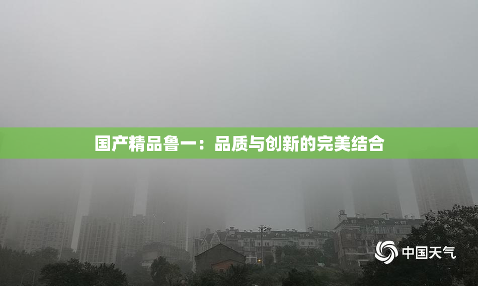 国产精品鲁一：品质与创新的完美结合