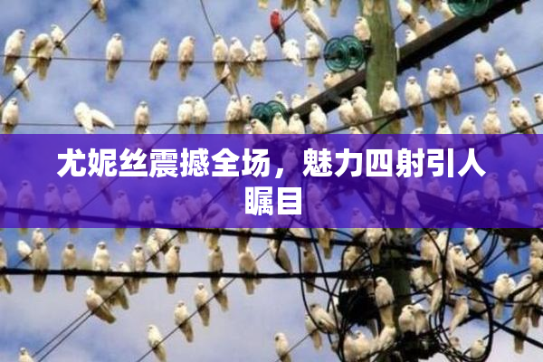 尤妮丝震撼全场，魅力四射引人瞩目