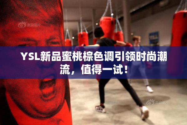 YSL新品蜜桃棕色调引领时尚潮流，值得一试！