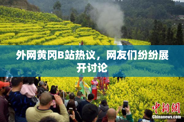外网黄冈B站热议，网友们纷纷展开讨论