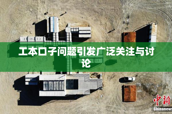 工本口子问题引发广泛关注与讨论