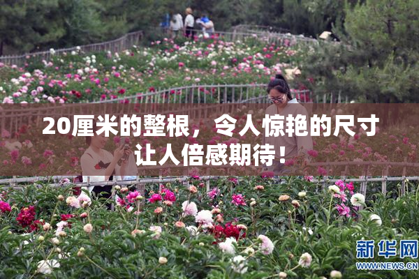 20厘米的整根，令人惊艳的尺寸让人倍感期待！