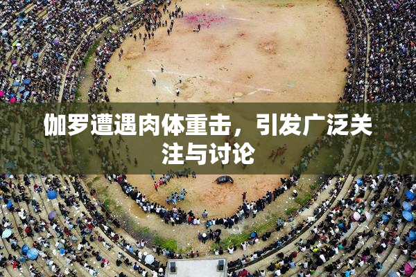伽罗遭遇肉体重击，引发广泛关注与讨论