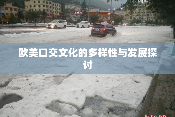 欧美口交文化的多样性与发展探讨