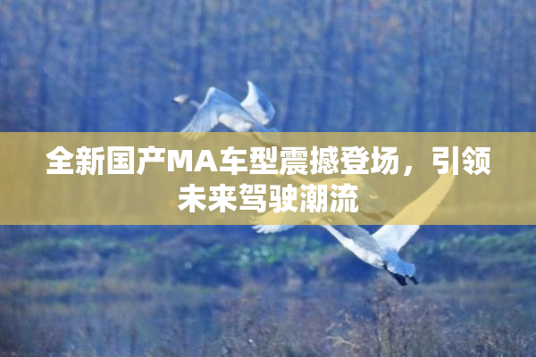 全新国产MA车型震撼登场，引领未来驾驶潮流