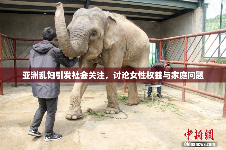 亚洲乱妇引发社会关注，讨论女性权益与家庭问题