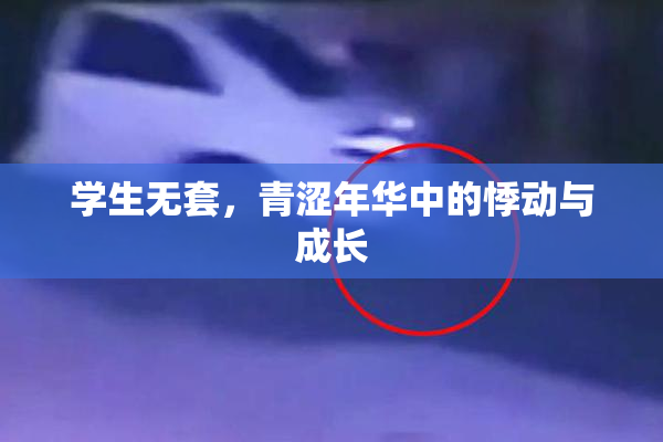 学生无套，青涩年华中的悸动与成长