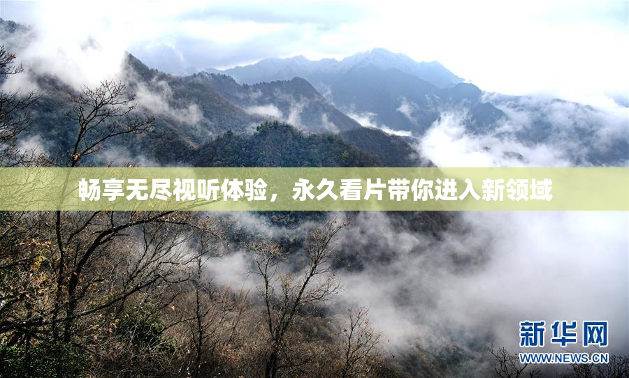 畅享无尽视听体验，永久看片带你进入新领域