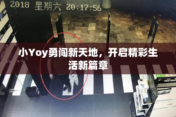 小Yoy勇闯新天地，开启精彩生活新篇章