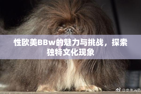 性欧美BBw的魅力与挑战，探索独特文化现象