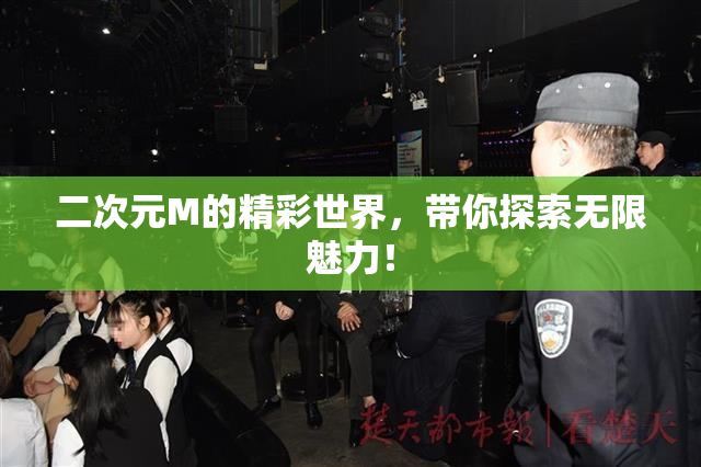 二次元M的精彩世界，带你探索无限魅力！