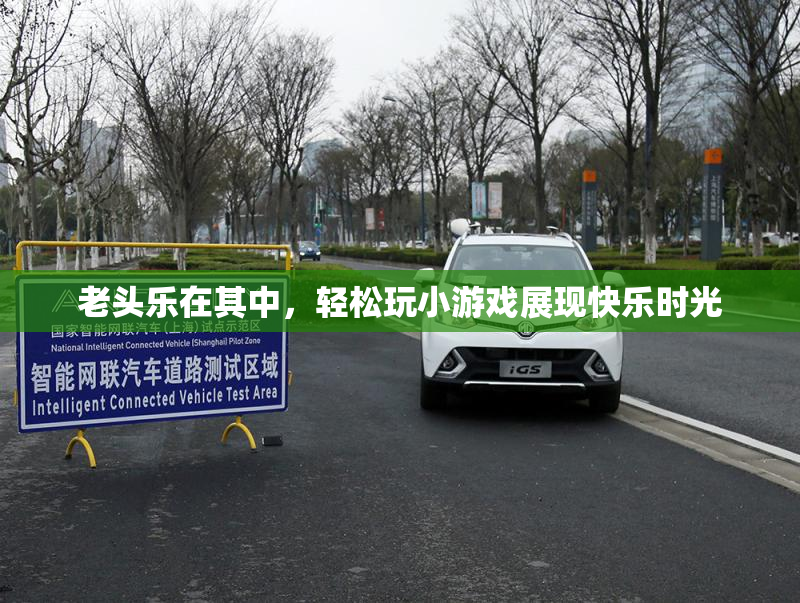 老头乐在其中，轻松玩小游戏展现快乐时光