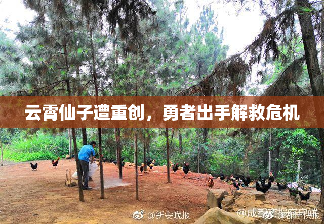 云霄仙子遭重创，勇者出手解救危机