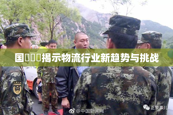 国產梱綁揭示物流行业新趋势与挑战