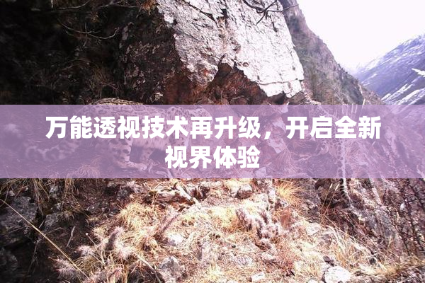 万能透视技术再升级，开启全新视界体验