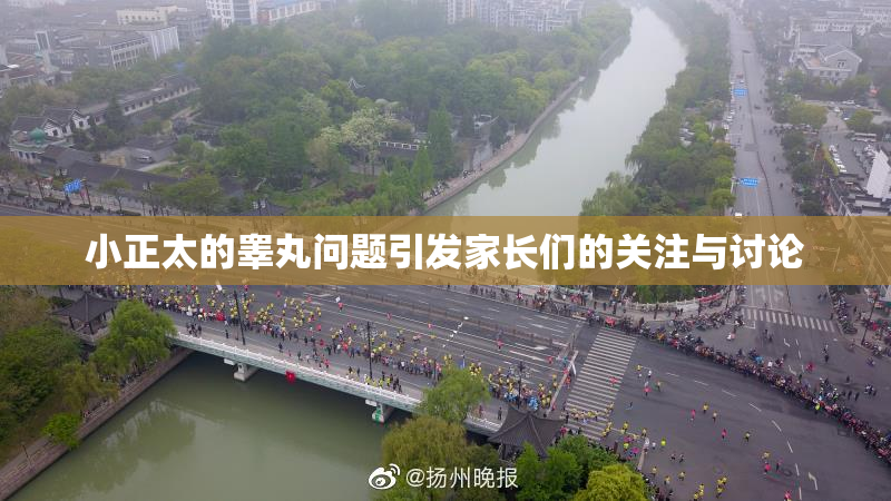 小正太的睾丸问题引发家长们的关注与讨论