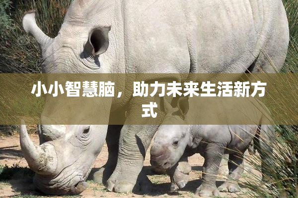 小小智慧脑，助力未来生活新方式