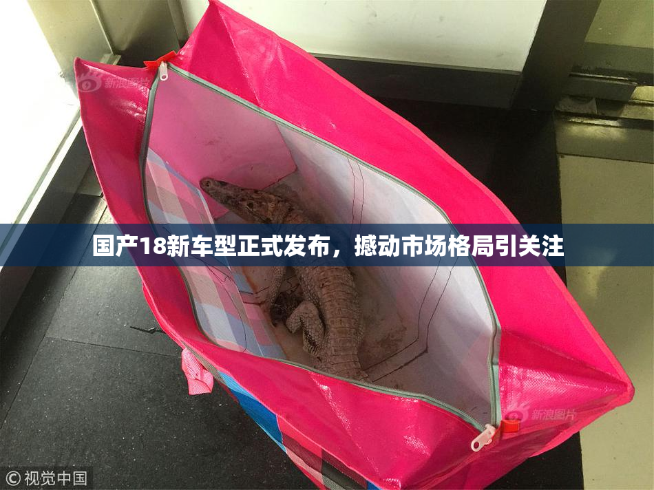 国产18新车型正式发布，撼动市场格局引关注