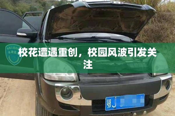 校花遭遇重创，校园风波引发关注