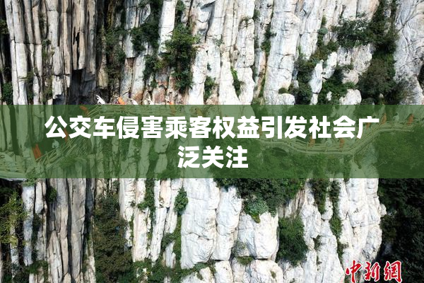 公交车侵害乘客权益引发社会广泛关注