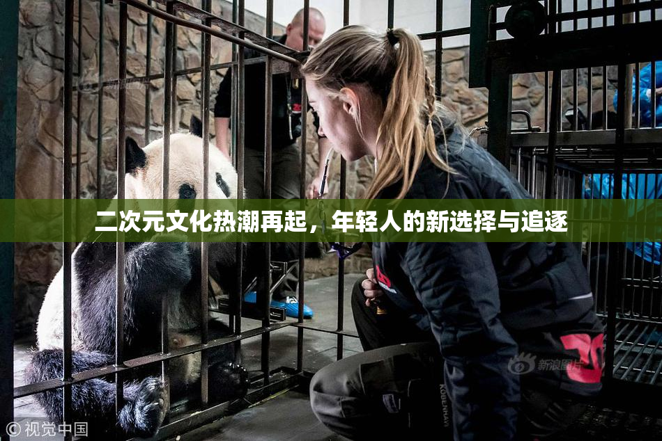 二次元文化热潮再起，年轻人的新选择与追逐