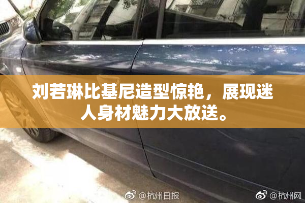 刘若琳比基尼造型惊艳，展现迷人身材魅力大放送。