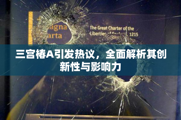 三宫椿A引发热议，全面解析其创新性与影响力