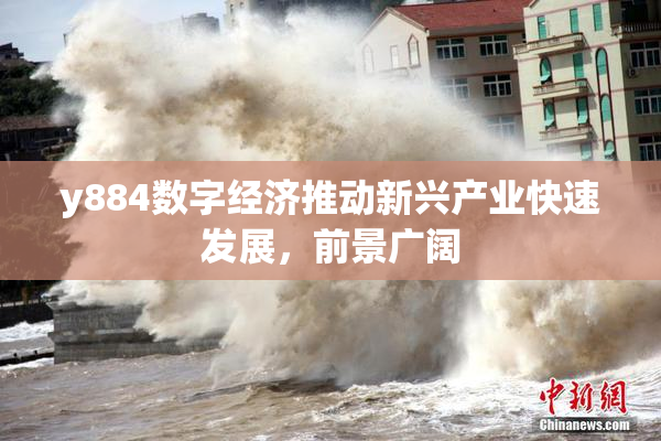 y884数字经济推动新兴产业快速发展，前景广阔
