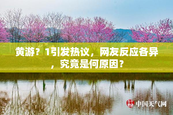 黄游？1引发热议，网友反应各异，究竟是何原因？