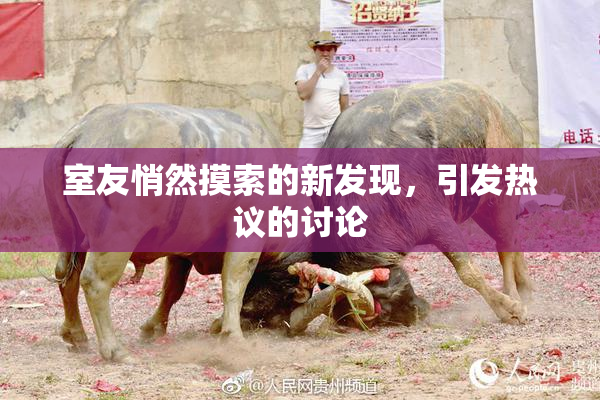 室友悄然摸索的新发现，引发热议的讨论