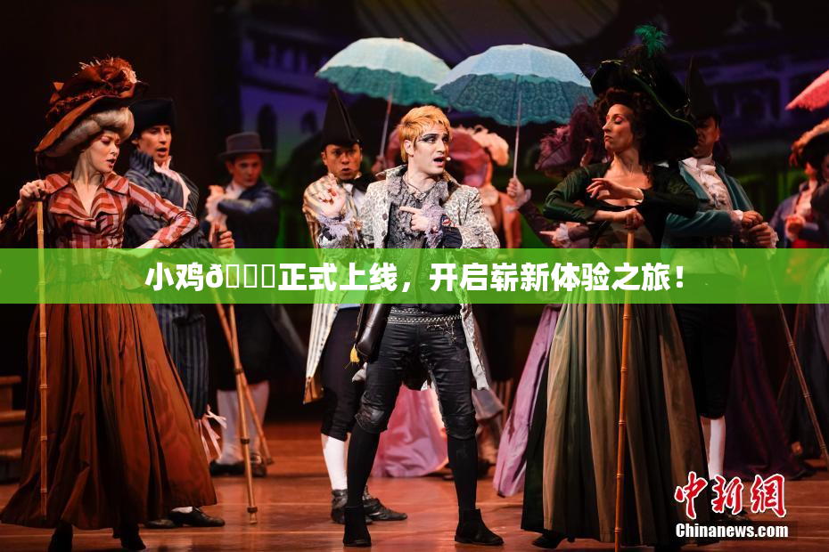 小鸡🐔正式上线，开启崭新体验之旅！