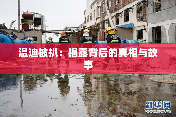 温迪被扒：揭露背后的真相与故事